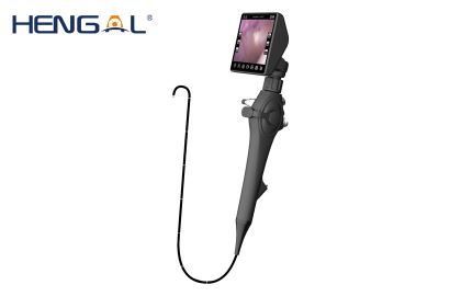 Veterinary Endoscope with channels